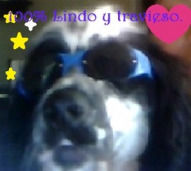 Hachinto